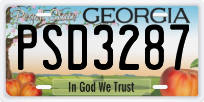 GA license plate PSD3287
