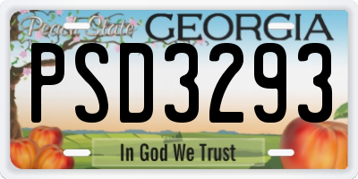 GA license plate PSD3293