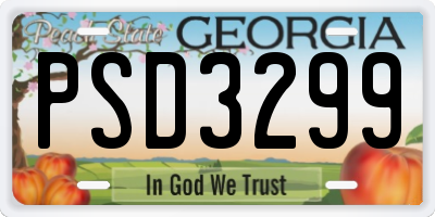 GA license plate PSD3299