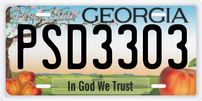 GA license plate PSD3303