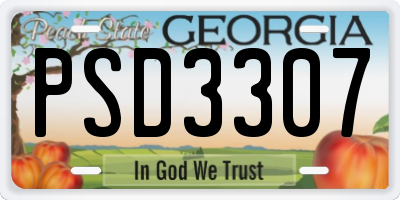GA license plate PSD3307