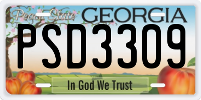 GA license plate PSD3309