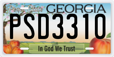 GA license plate PSD3310