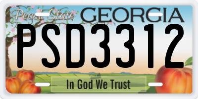 GA license plate PSD3312