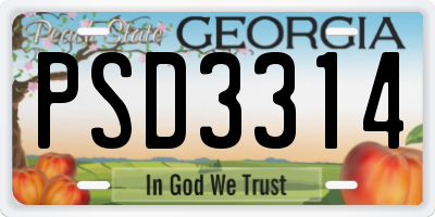 GA license plate PSD3314