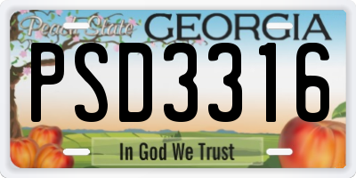 GA license plate PSD3316