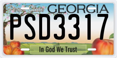 GA license plate PSD3317