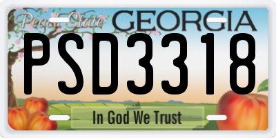 GA license plate PSD3318