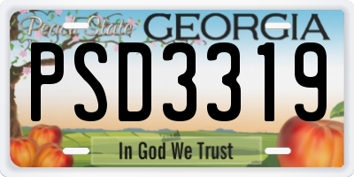 GA license plate PSD3319