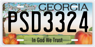 GA license plate PSD3324