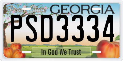 GA license plate PSD3334