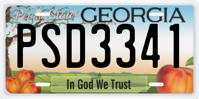 GA license plate PSD3341