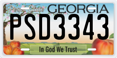 GA license plate PSD3343