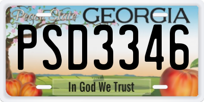 GA license plate PSD3346