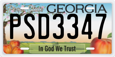 GA license plate PSD3347