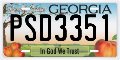 GA license plate PSD3351