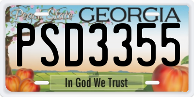GA license plate PSD3355