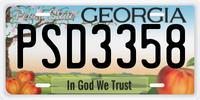 GA license plate PSD3358