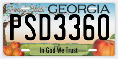 GA license plate PSD3360
