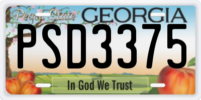 GA license plate PSD3375