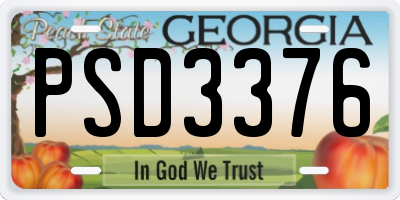 GA license plate PSD3376