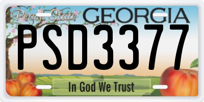 GA license plate PSD3377