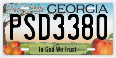 GA license plate PSD3380