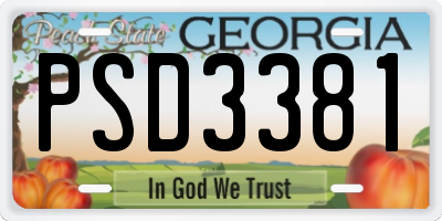 GA license plate PSD3381