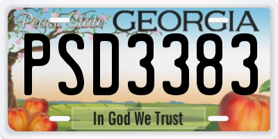 GA license plate PSD3383