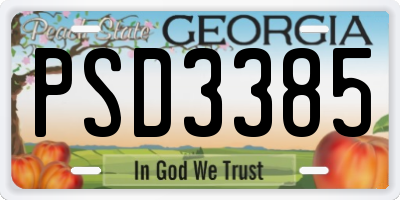 GA license plate PSD3385