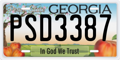 GA license plate PSD3387
