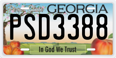 GA license plate PSD3388