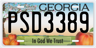 GA license plate PSD3389