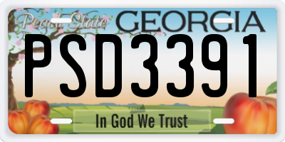 GA license plate PSD3391