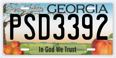 GA license plate PSD3392