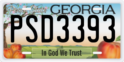 GA license plate PSD3393
