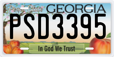 GA license plate PSD3395