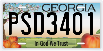 GA license plate PSD3401
