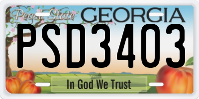 GA license plate PSD3403