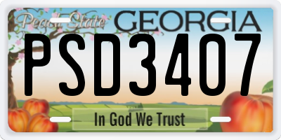 GA license plate PSD3407