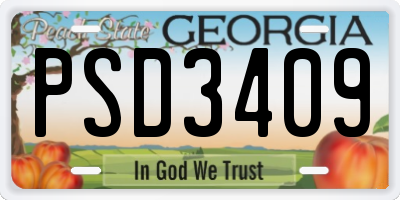GA license plate PSD3409