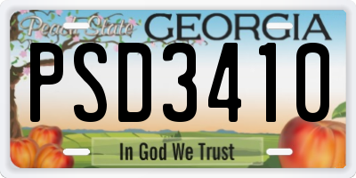 GA license plate PSD3410