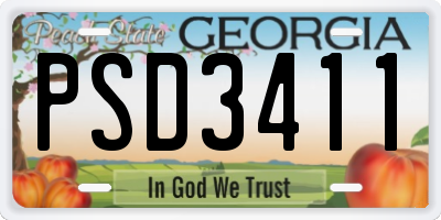 GA license plate PSD3411