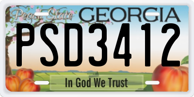 GA license plate PSD3412