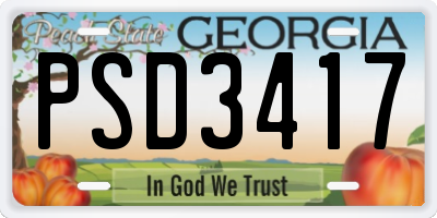 GA license plate PSD3417
