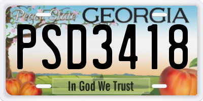 GA license plate PSD3418