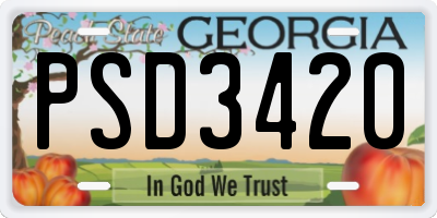 GA license plate PSD3420