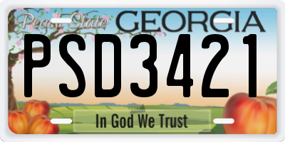 GA license plate PSD3421