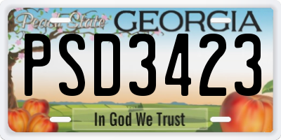 GA license plate PSD3423