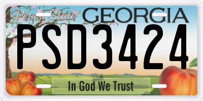 GA license plate PSD3424